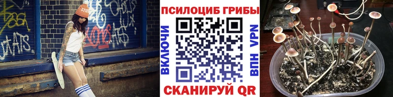 omg зеркало  сколько стоит  Кувшиново  Галлюциногенные грибы ЛСД 